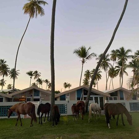 *New Campomar Beachfront 2Bdrm Villa In Arroyo 外观 照片
